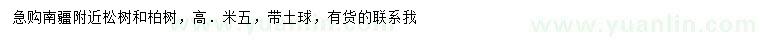 求购高5米松树、柏树