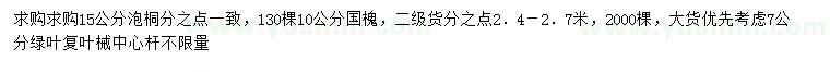 求购泡桐、国槐、绿叶复叶槭