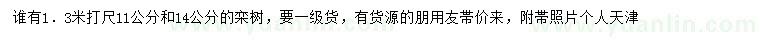 求购1.3米打尺11、14公分栾树