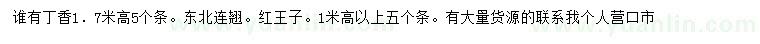 求购丁香、东北连翘、红王子锦带