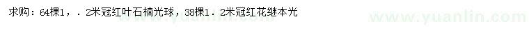 求购冠1.2米红叶石楠光球、红花继木光球