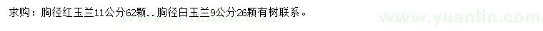 求购胸径11公分红玉兰、胸径9公分白玉兰