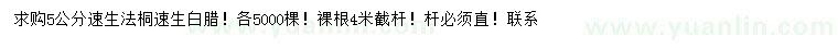 求购5公分速生法桐、速生白腊