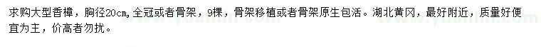 求购胸径20公分香樟