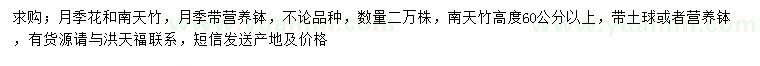 求购高60公分以上月季花、南天竹