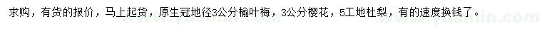 求购榆叶梅、樱花、杜梨