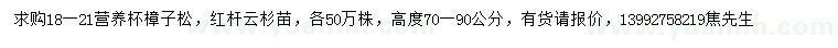 求购樟子松、云杉苗