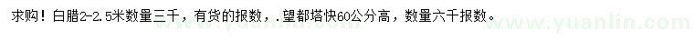 求购2-2.5米白蜡、高60公分望都署桧
