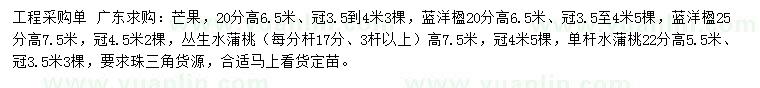 求购芒果、蓝洋楹、丛生水蒲桃等