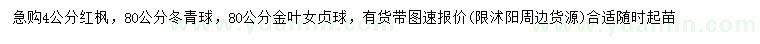 求购红枫、冬青球、金叶女贞球