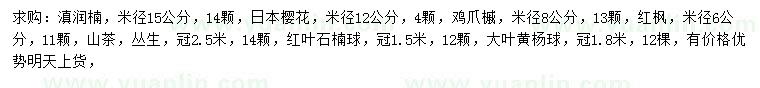 求购滇润楠、日本樱花、鸡爪槭等