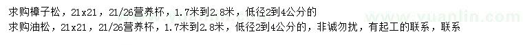 求购1.7-2.8米樟子松、油松
