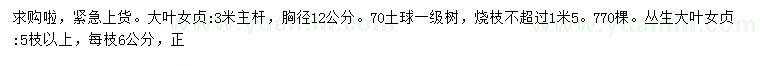 求购胸径12公分大叶女贞、丛生大叶女贞