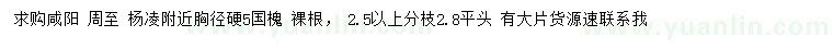 求购胸径5公分国槐