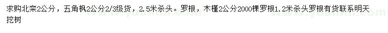 求购北栾、五角枫、木槿