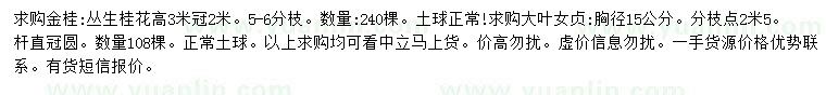 求购高3米丛生桂花、胸径15公分大叶女贞