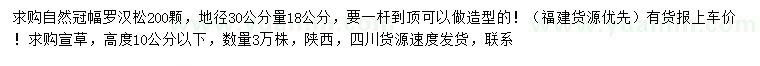 求购地径30公分量18公分罗汉松、高10公分以下萱草