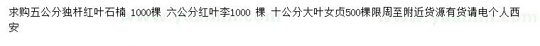 求购5公分独杆红叶石楠、6公分红叶李、10公分大叶女贞