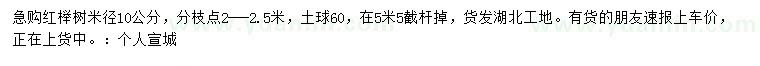 求购米径10公分红榉树