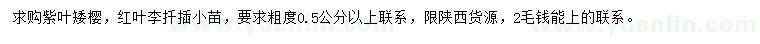 求购粗度0.5公分以上紫叶矮樱、红叶李