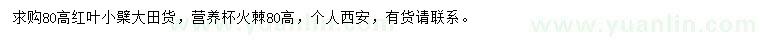 求购高80公分红叶小檗、火棘