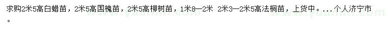 求购白蜡苗、国槐苗、柳树苗等