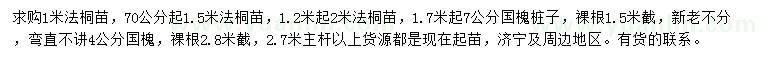 求购法桐苗、国槐桩子