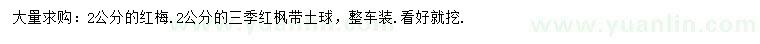 求购2公分红梅、三季红枫