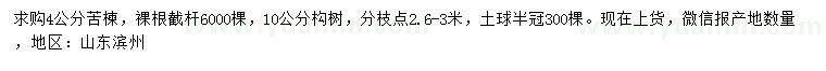 求购4公分苦楝、10公分构树