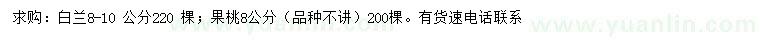 求购8-10公分白兰、8公分果桃