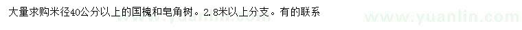 求购米径40公分以上国槐、皂角树