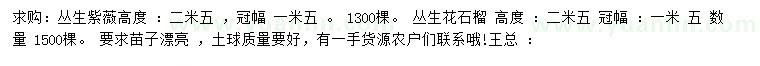 求购高2.5米丛生紫薇、丛生花石榴