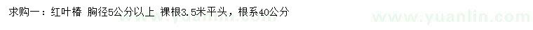 求购胸径5公分以上红叶椿 