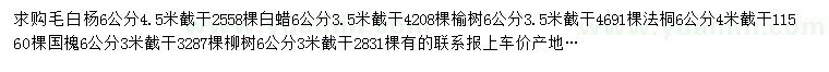 求购毛白杨、白蜡、榆树等