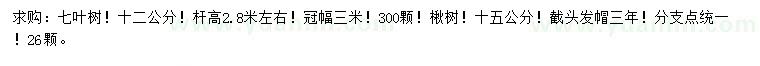 求购12公分七叶树、15公分楸树