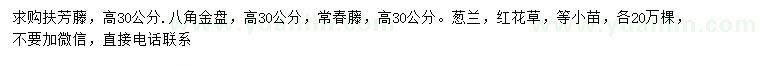 求购扶芳藤、八角金盘、常春藤等