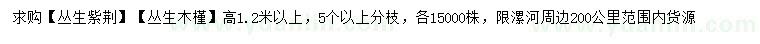 求购高1.2米以上丛生紫荆、丛生木槿