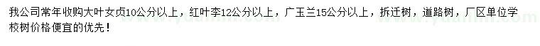 求购大叶女贞、红叶李、广玉兰