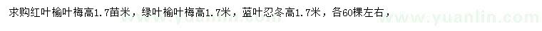 求购红叶榆叶梅、绿叶榆叶梅、蓝叶忍冬