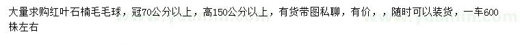 求购冠幅70公分以上红叶石楠