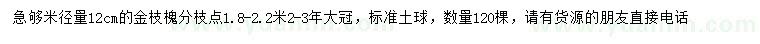 求购米径12公分金枝槐