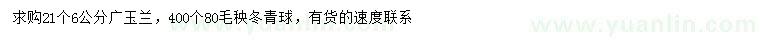 求购6公分广玉兰、80公分冬青球