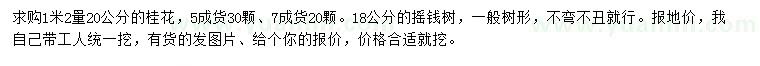 求购1.2米量20公分桂花、18公分摇钱树