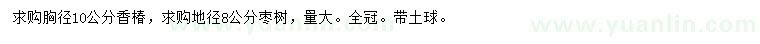 求购胸径10公分香椿、地径8公分枣树