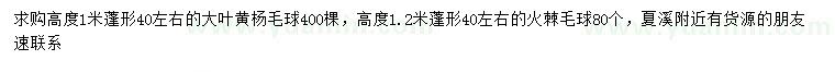 求购冠幅40公分左右大叶黄杨球、火棘球