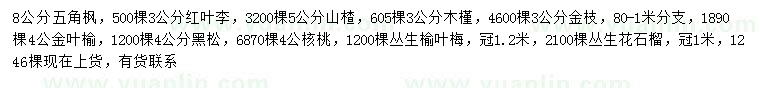 求购五角枫、红叶李、山楂等