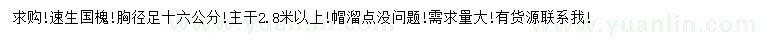 求购胸径16公分速生国槐