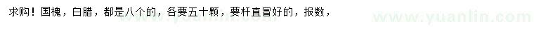 求购8公分国槐、白蜡