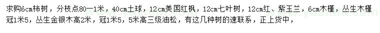 求购柿树、美国红枫、七叶树等