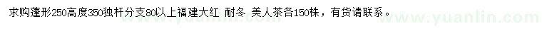 求购福建大红、耐冬、美人茶